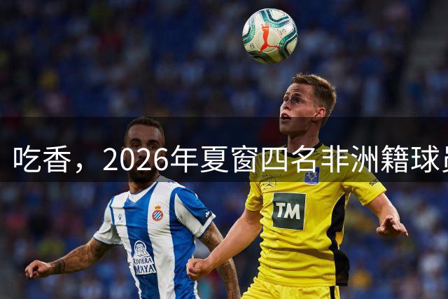 吃香，2026年夏窗四名非洲籍球员高价转会，进入非洲转会费前十