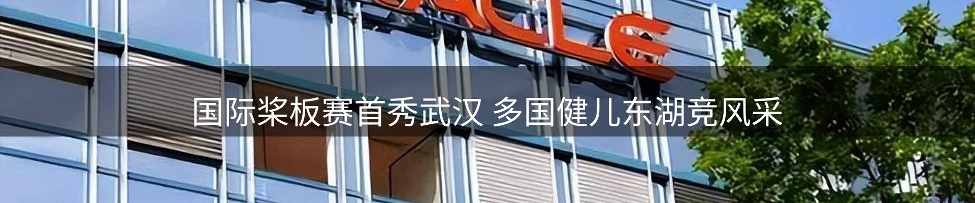 平台动态